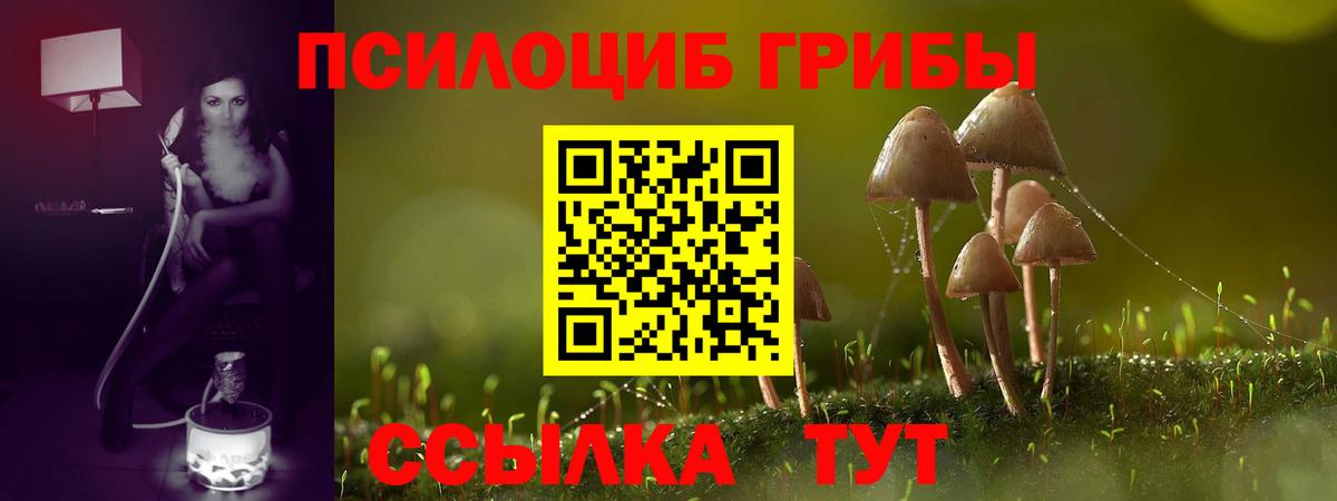 Псилоцибиновые грибы мухоморы Янаул